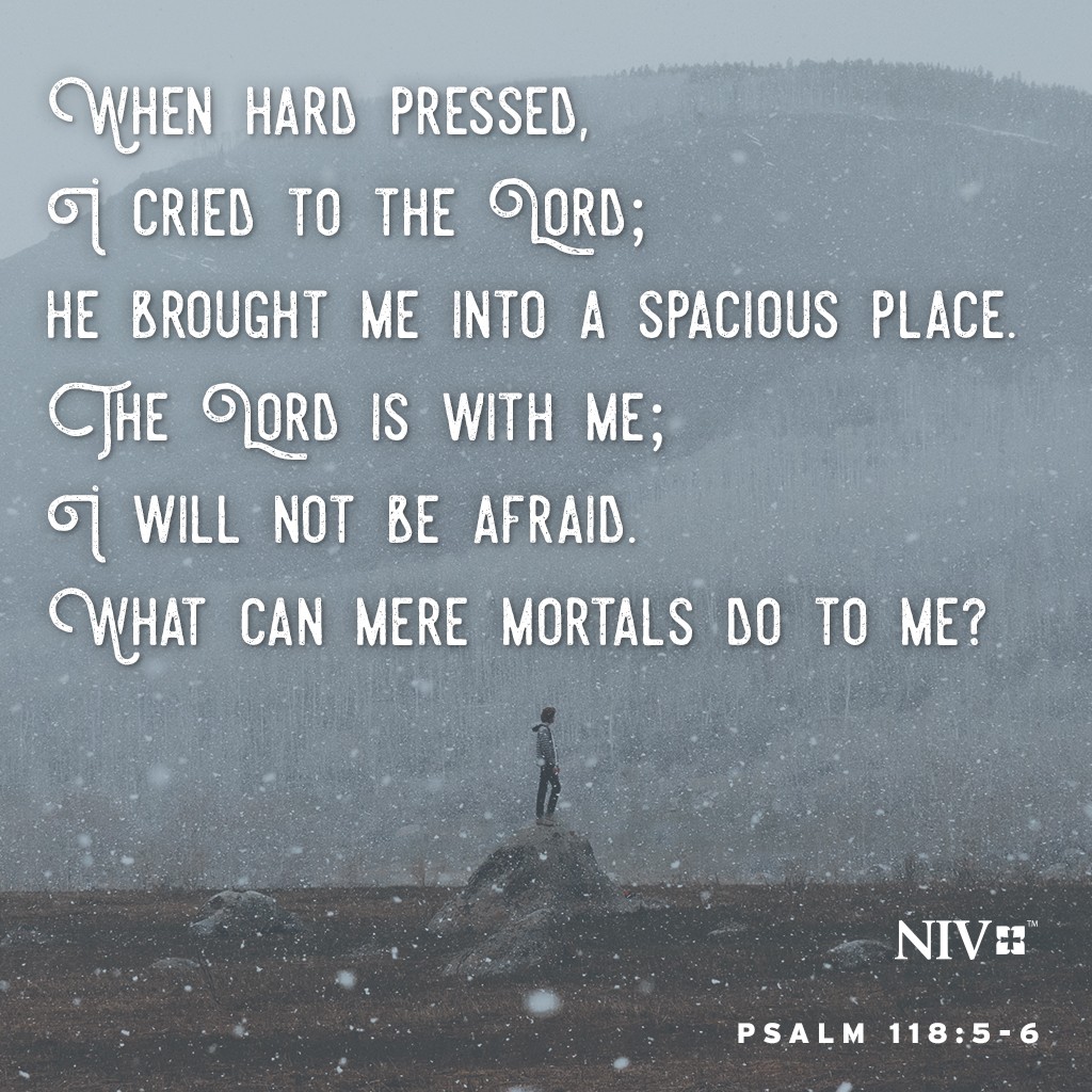 niv-verse-of-the-day-psalm-118-5-6