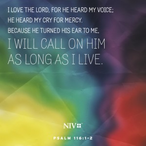 NIV Verse of the Day: Psalm 116:1-2