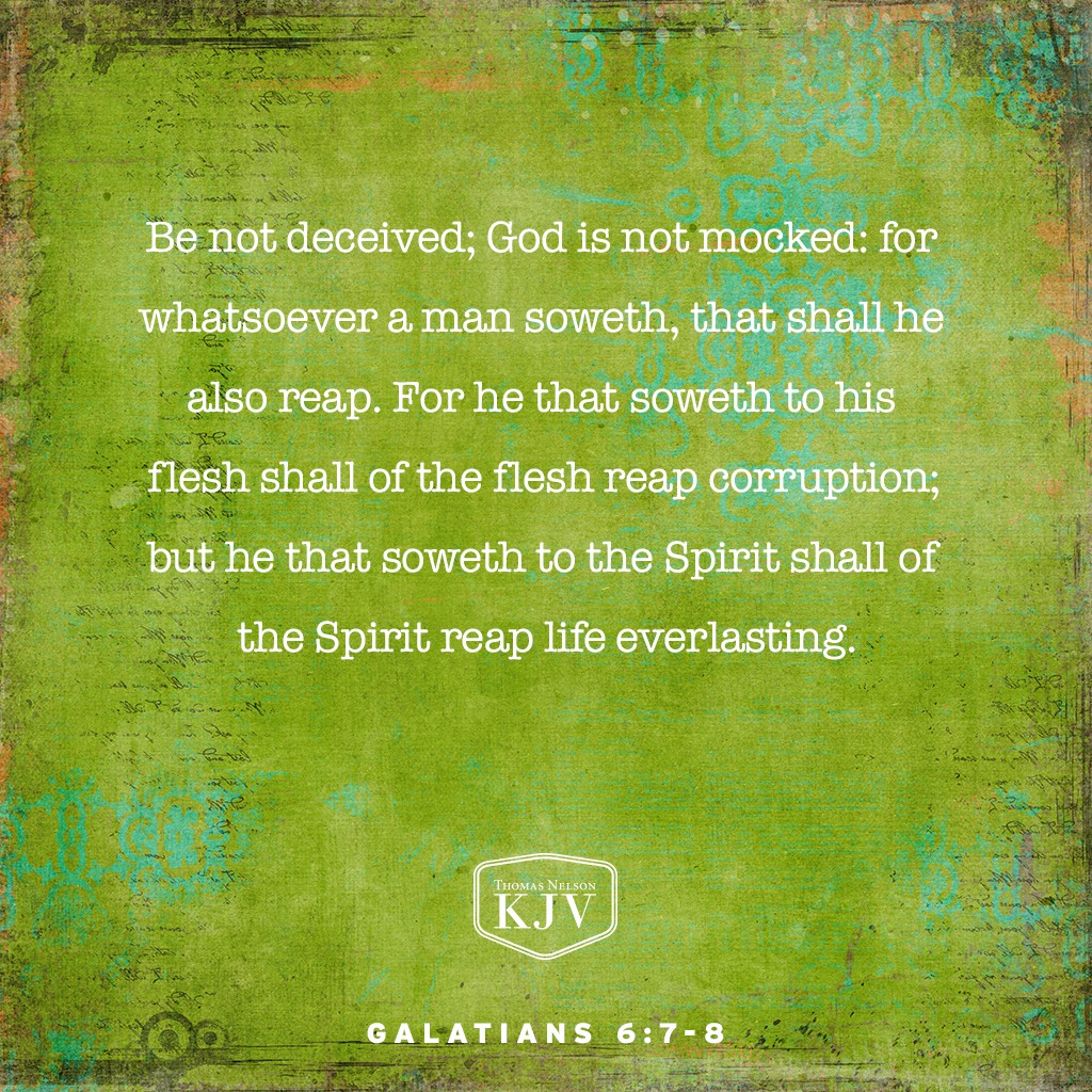 KJV Verse of the Day: Galatians 6:7-8