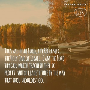 KJV Verse of the Day: Isaiah 48:17