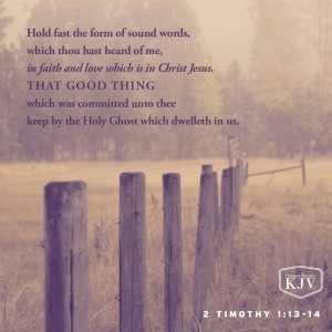 KJV Verse of the Day: 2 Timothy 1:13-14