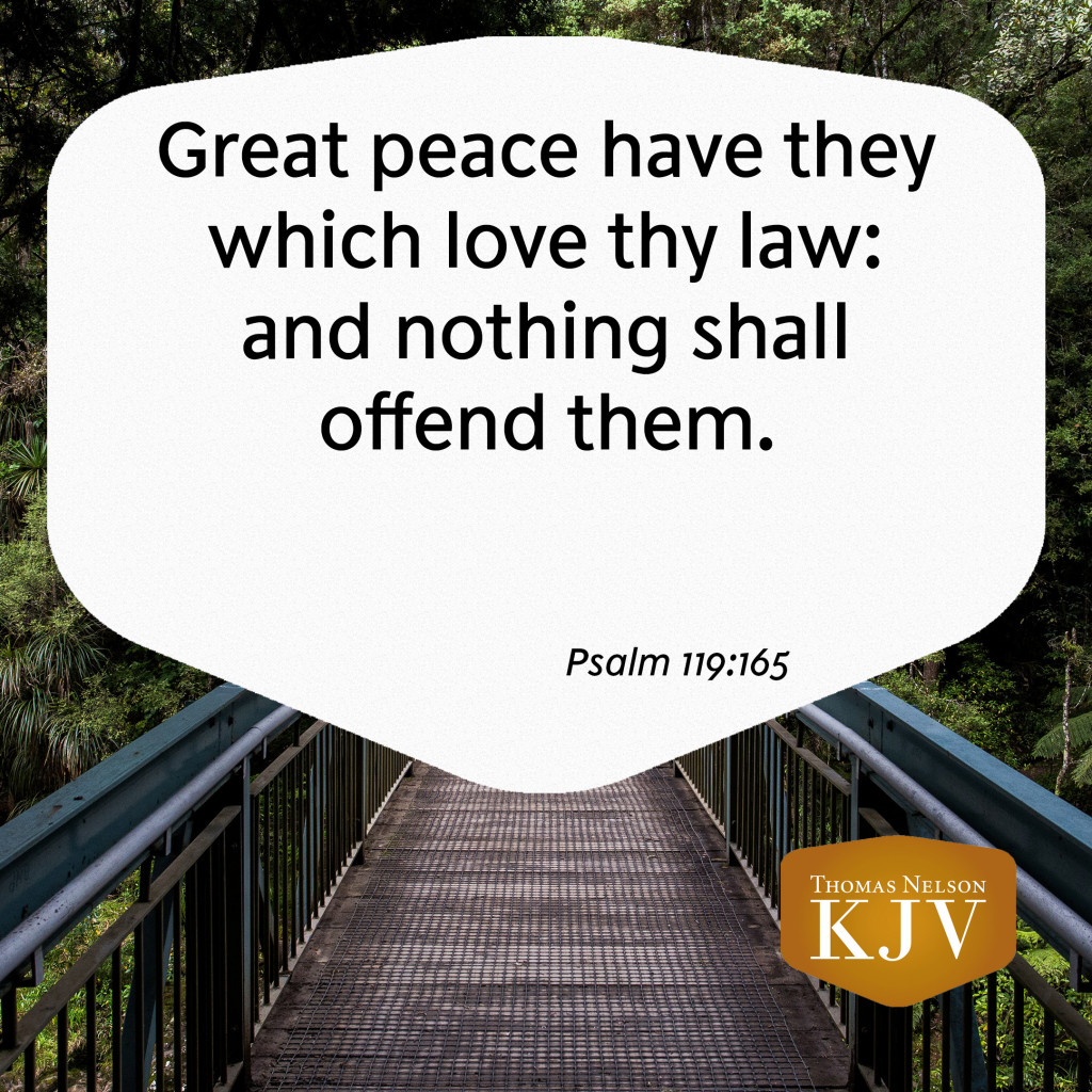 kjv-verse-of-the-day-psalm-119-165