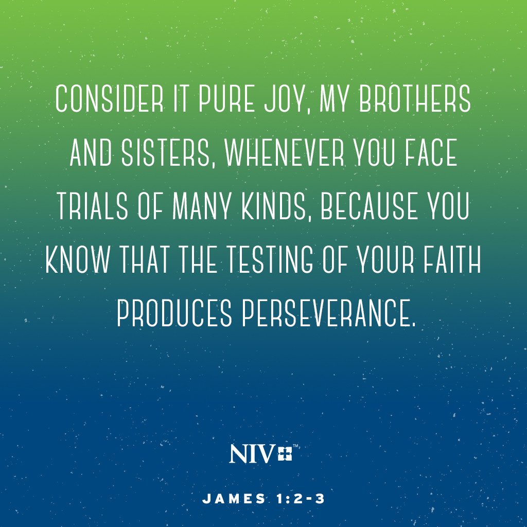 NIV Verse Of The Day James 1 2 3 niv-verse-of-the-day-james-1-2-3
