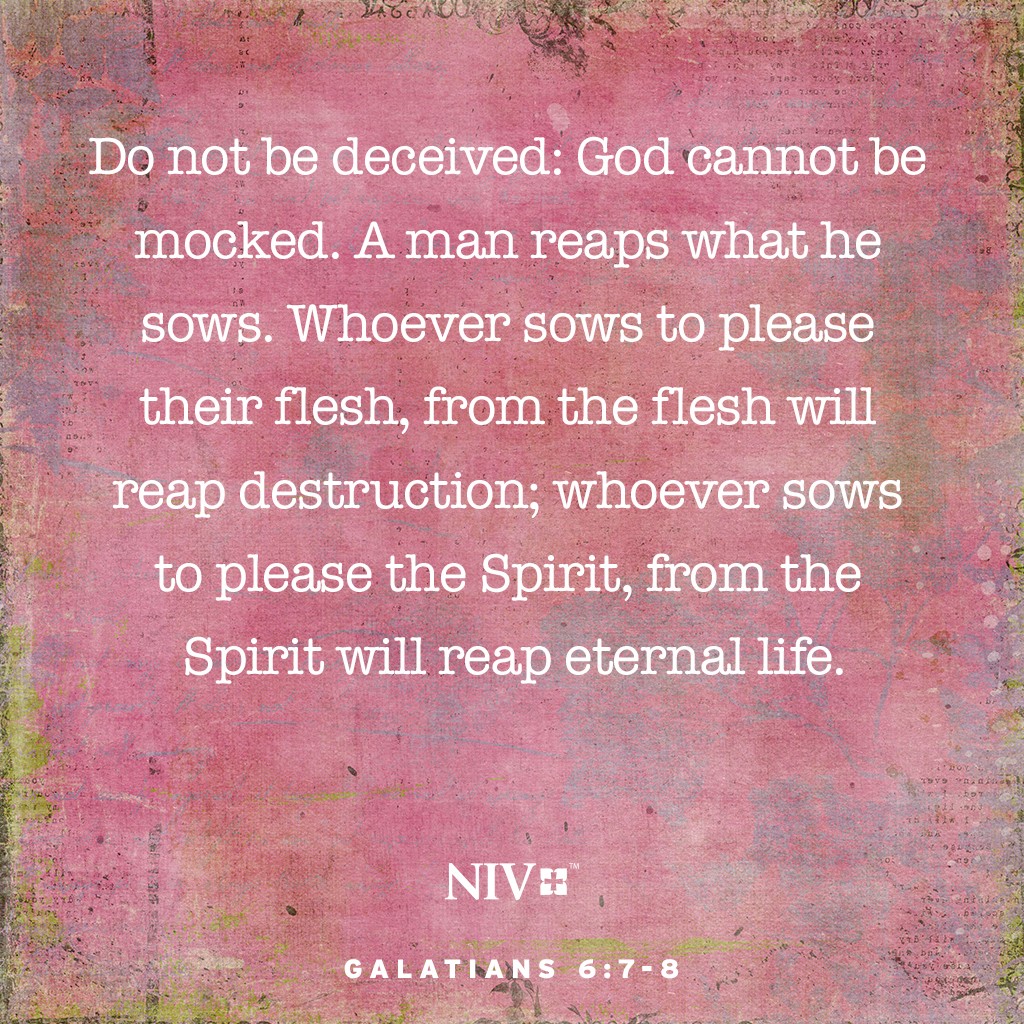 NIV Verse of the Day: Galatians 6:7-8