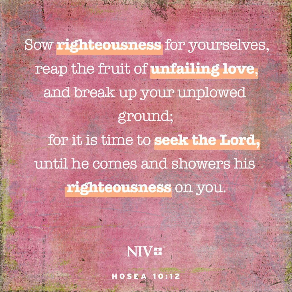 Break Up Your Unplowed Ground Meaning at Wilfredo Odom blog