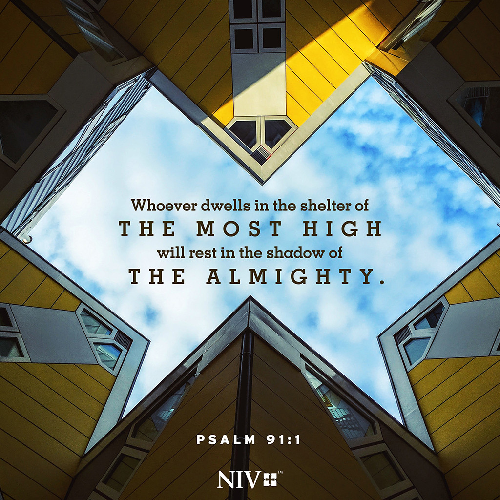 NIV Verse of the Day: Psalm 91:1