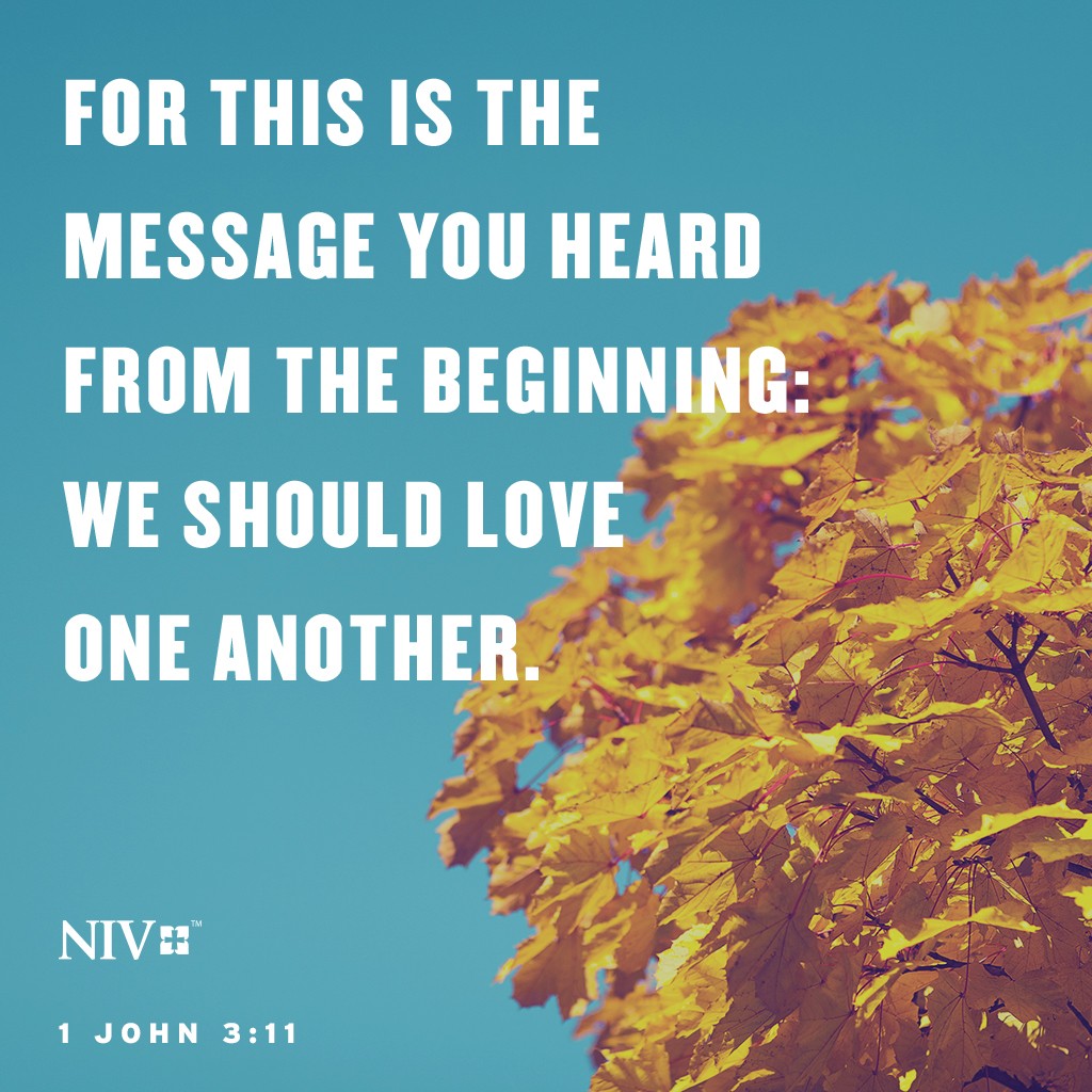 niv-verse-of-the-day-1-john-3-11