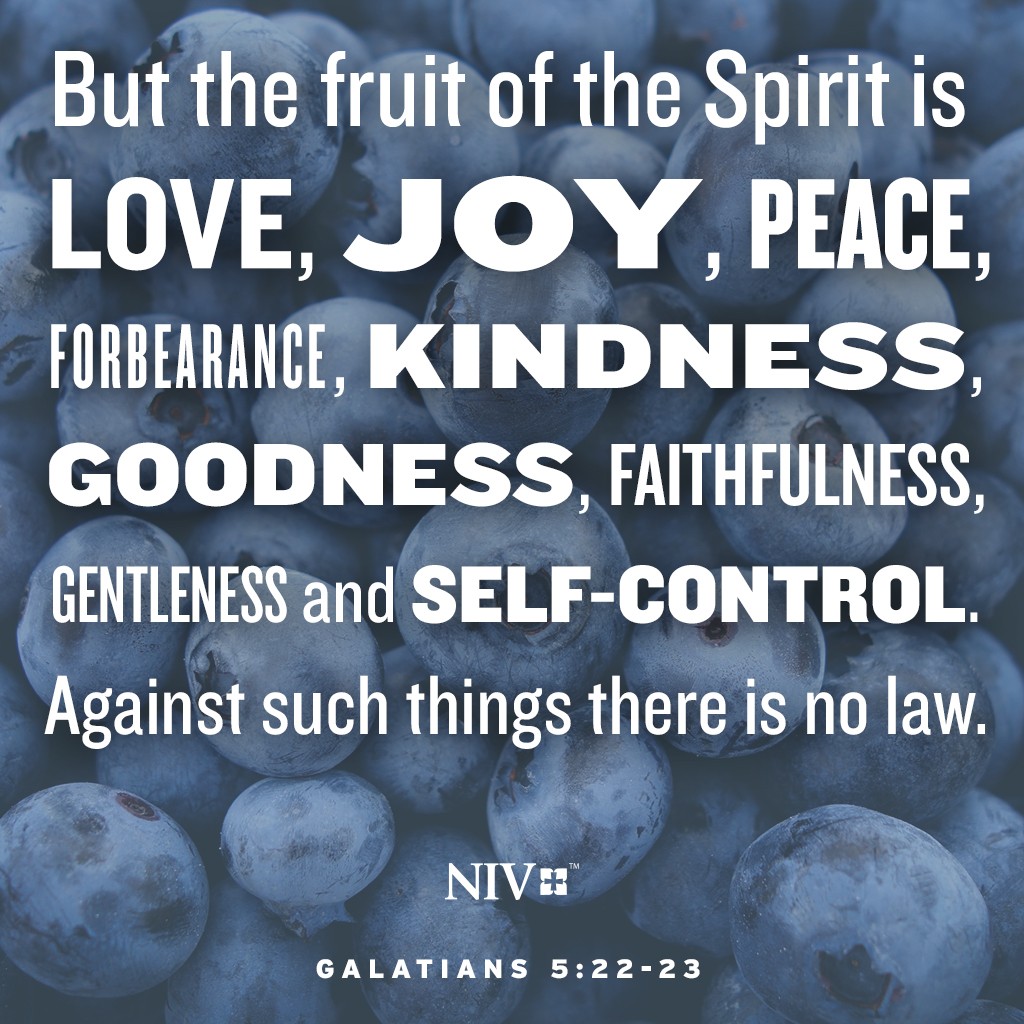 niv-verse-of-the-day-galatians-5-22-23