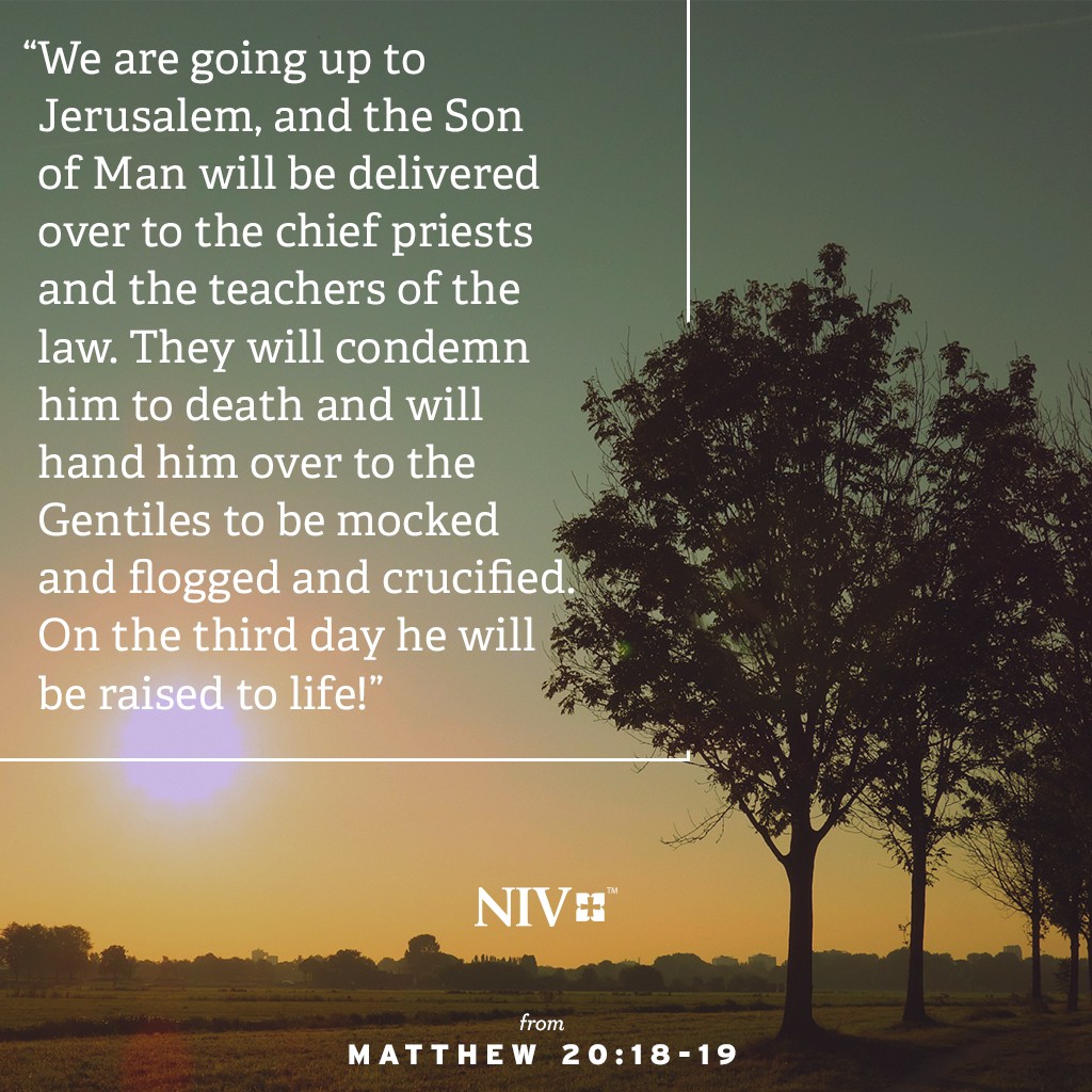 NIV Verse of the Day: Matthew 20:17-19