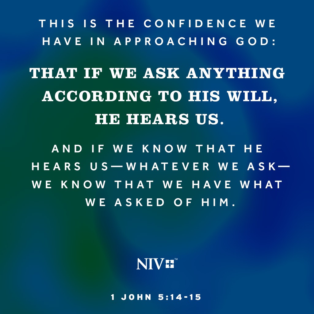 Niv verse of the day 1 john 5 14 15