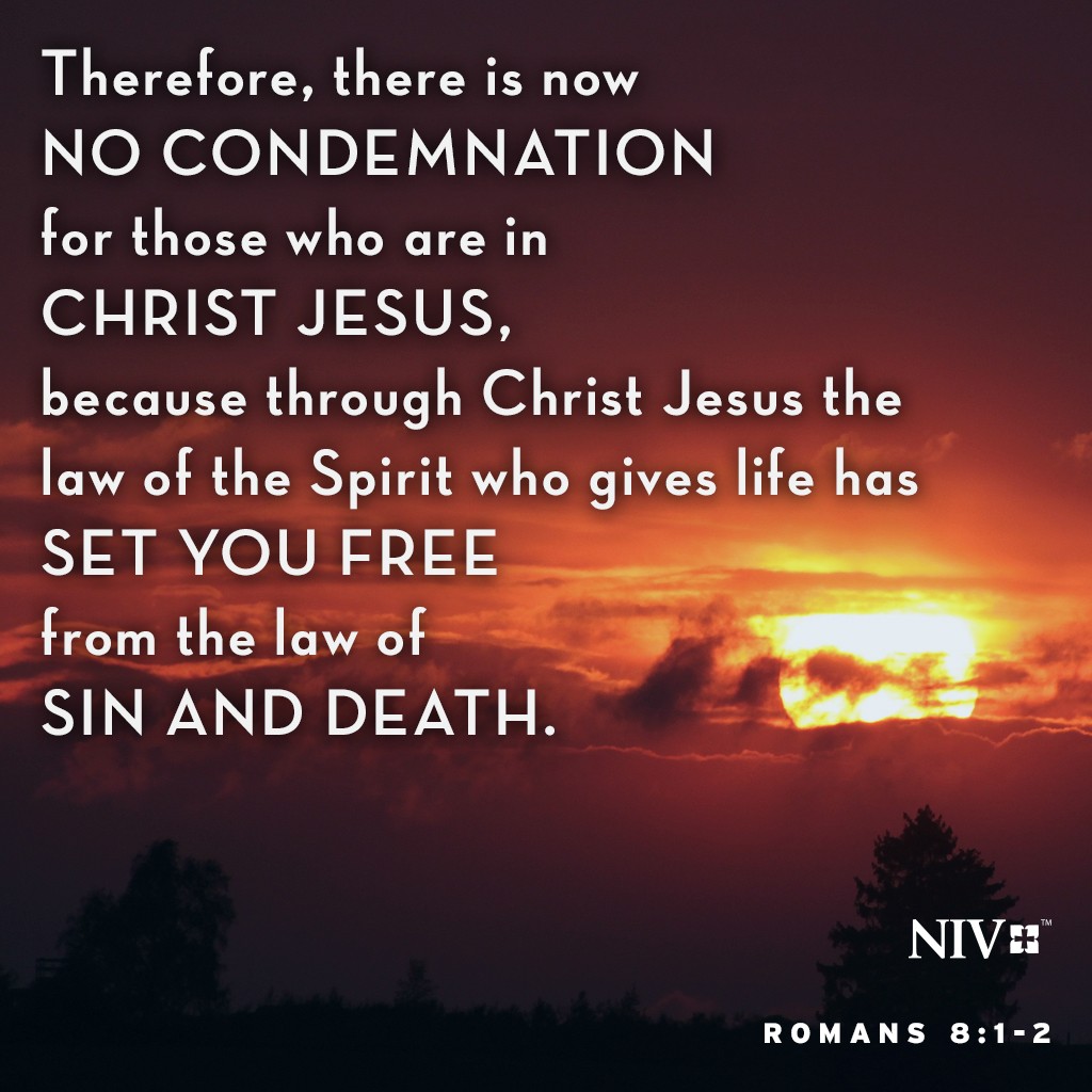 NIV Verse Of The Day Romans 8 1 2