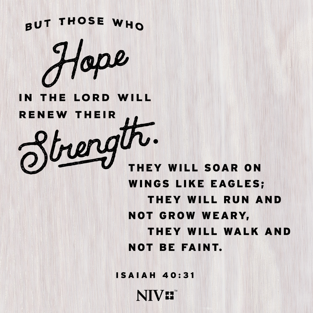 NIV Verse of the Day: Isaiah 40:30-31