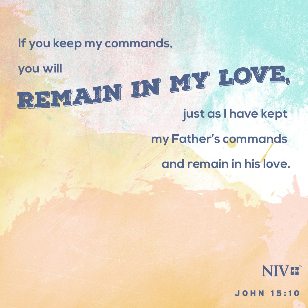 Niv Verse Of The Day John 15 10