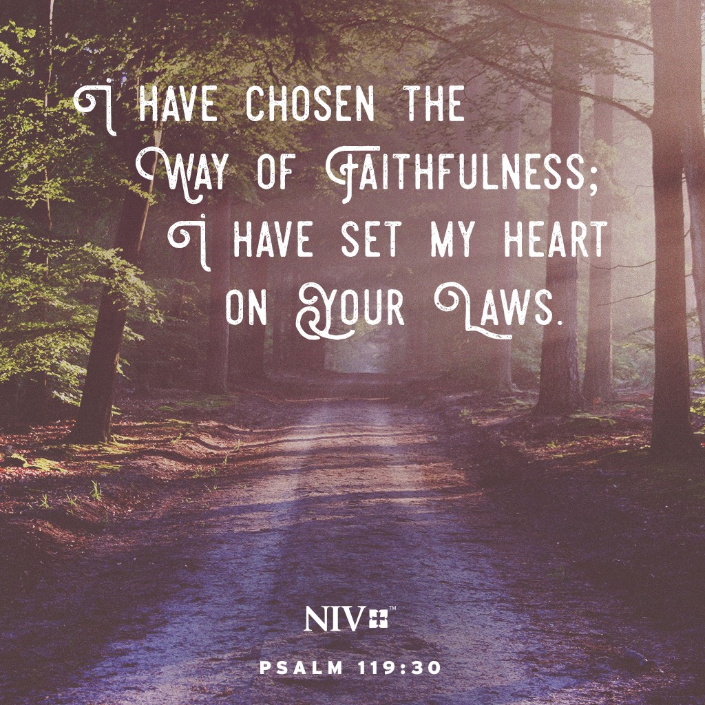 niv-verse-of-the-day-psalm-119-30