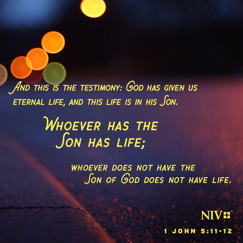 NIV Verse Of The Day 1 John 5 11 12