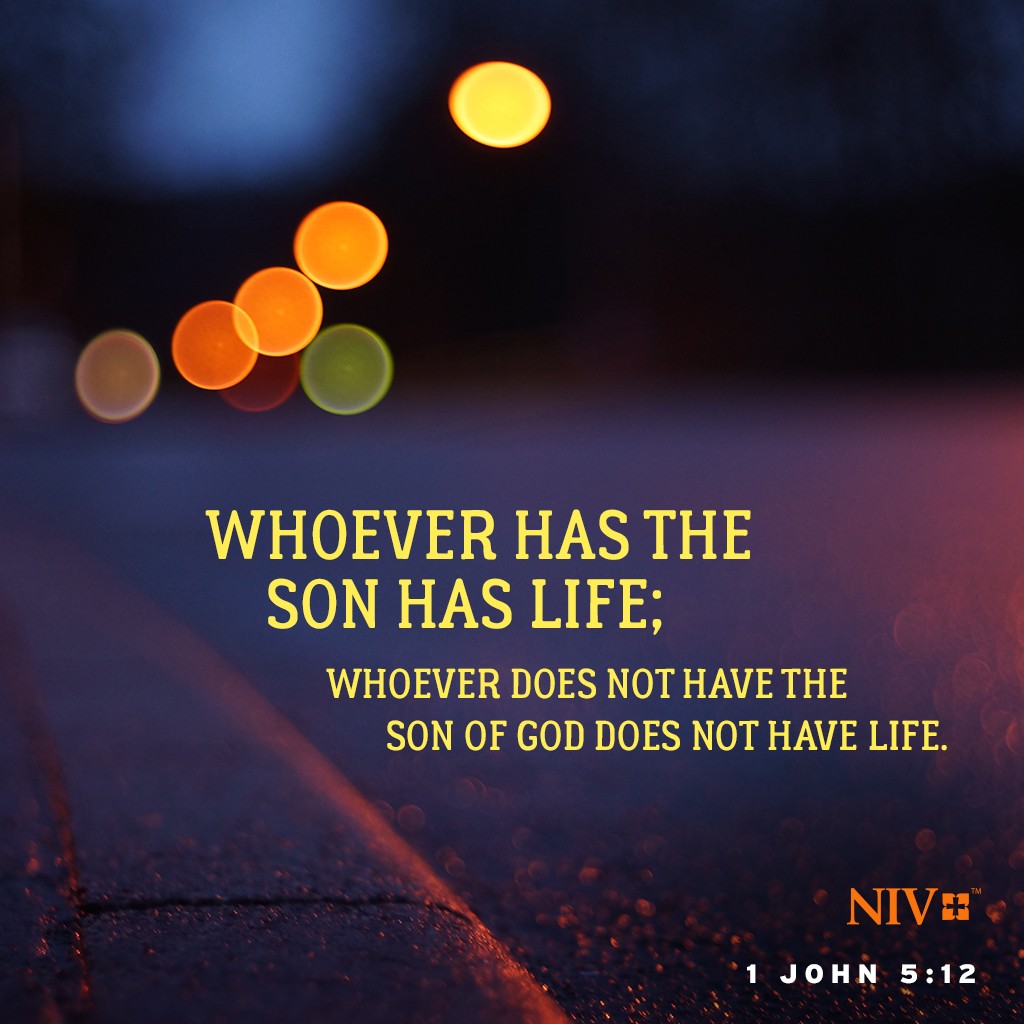 niv-verse-of-the-day-1-john-5-12