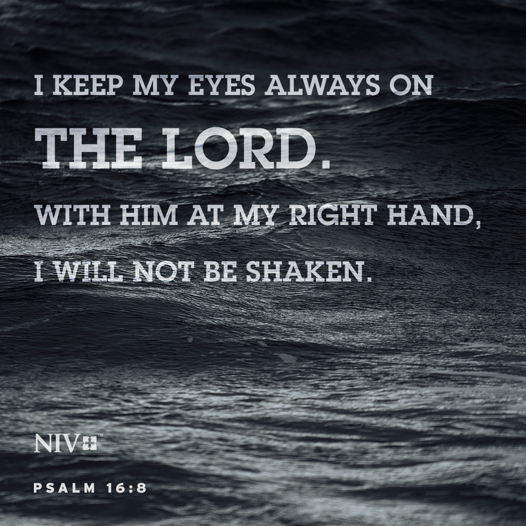 Niv Verse Of The Day Psalm 16 8