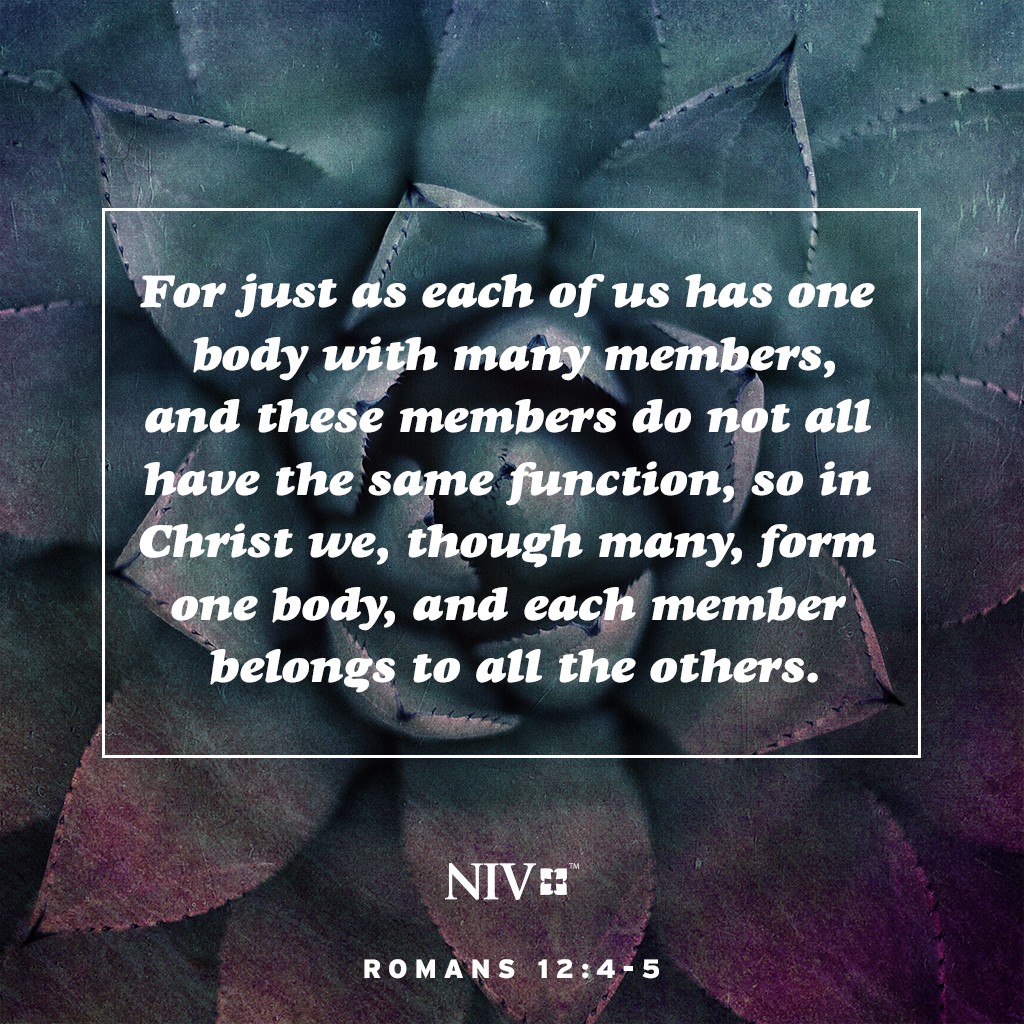 niv-verse-of-the-day-romans-12-4-5