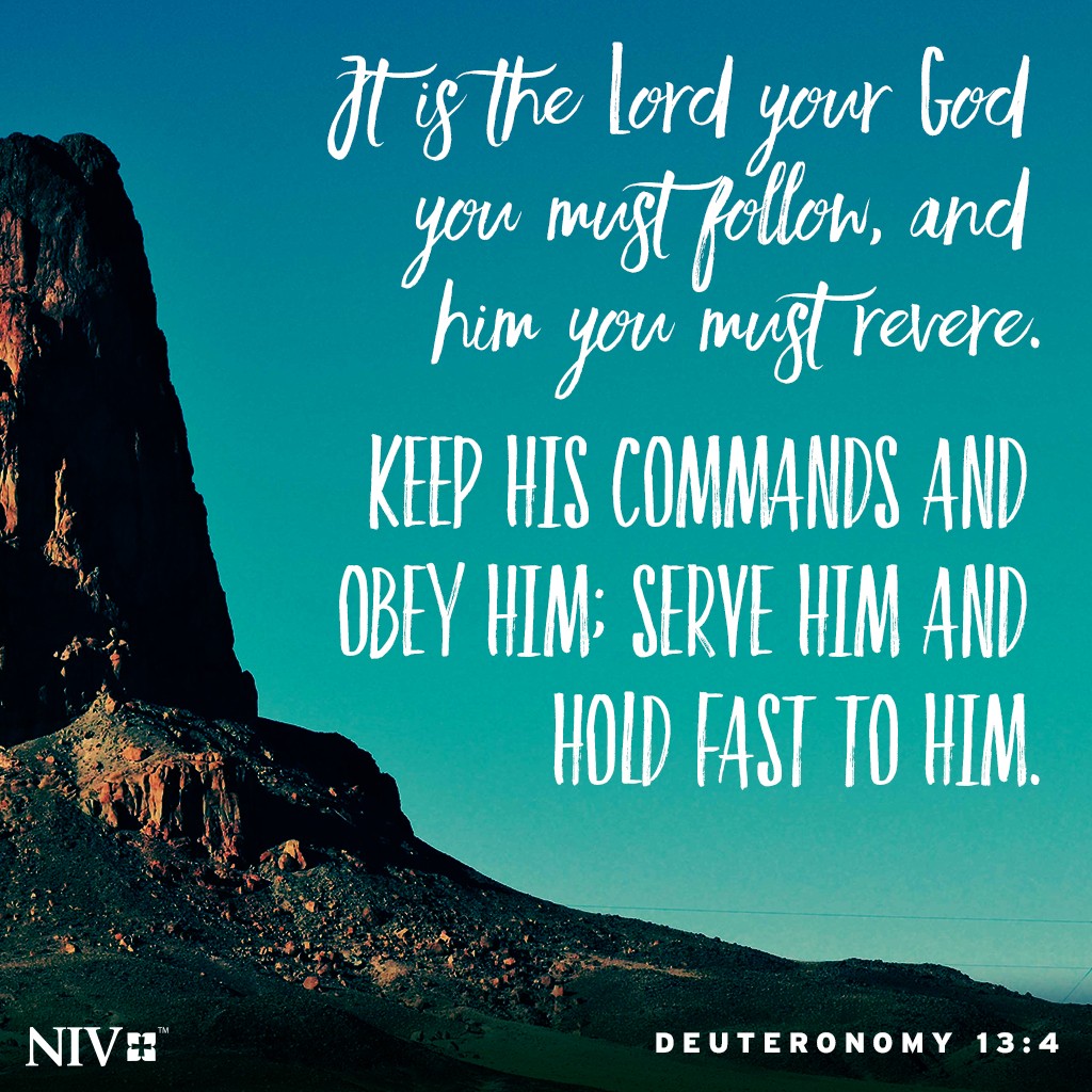 NIV Verse of the Day: Deuteronomy 13:4