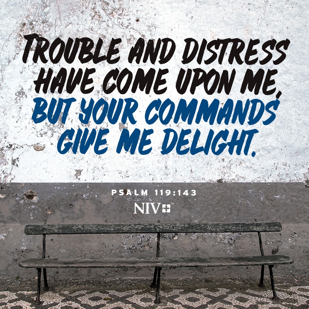 NIV Verse Of The Day Psalm 119 143