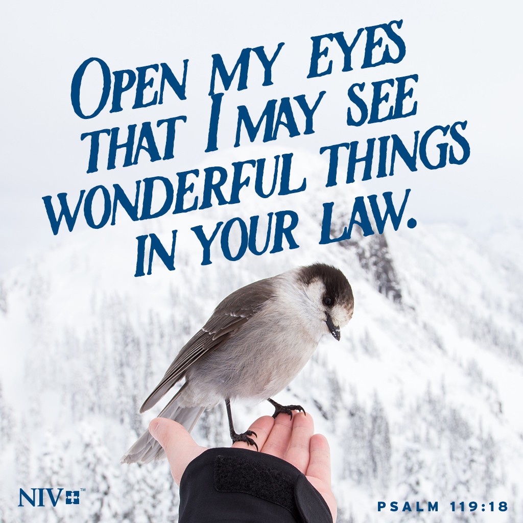 niv-verse-of-the-day-psalm-119-18