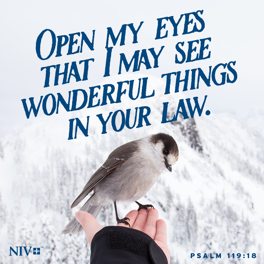 NIV Verse Of The Day Psalm 119 18