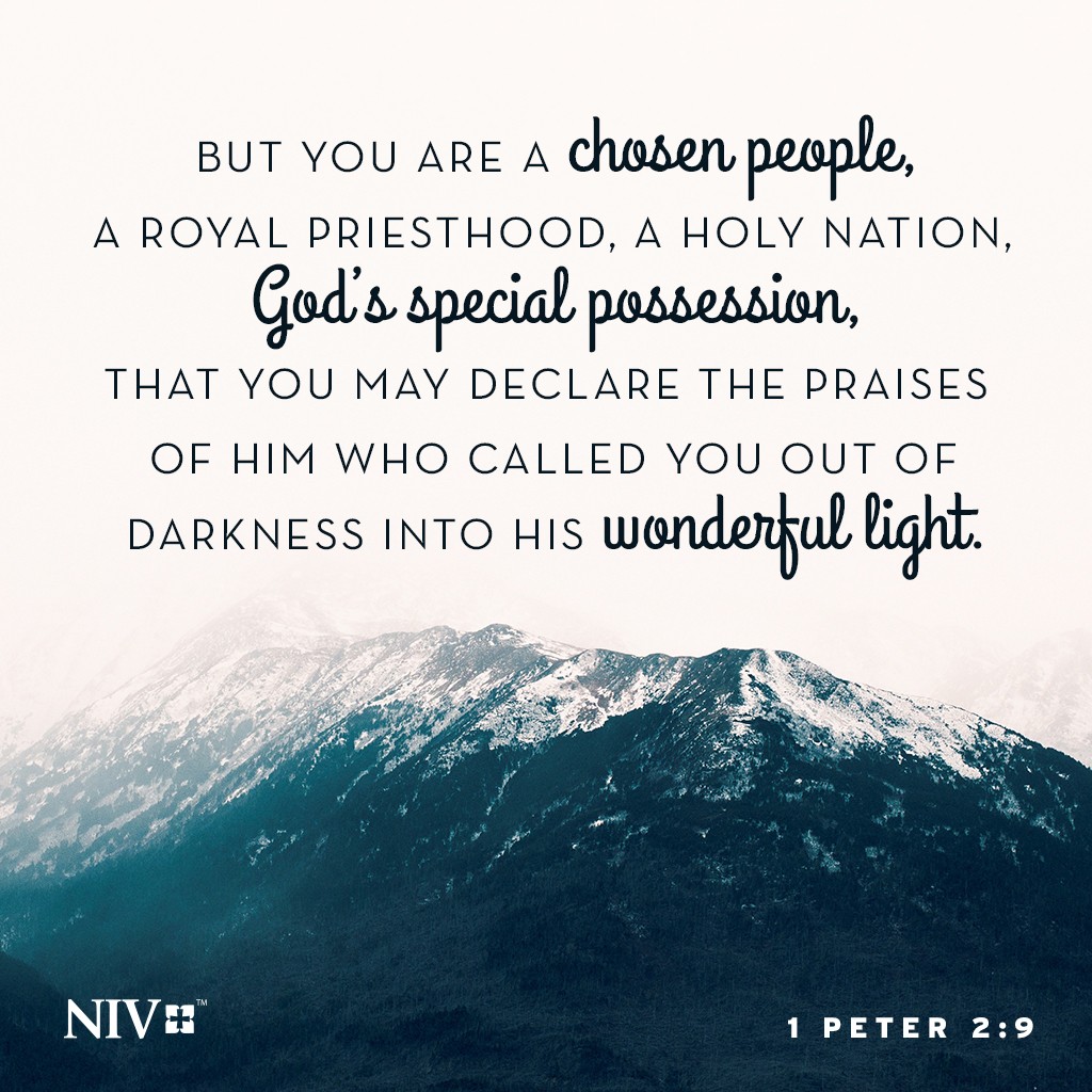 NIV Verse of the Day: 1 Peter 2:9