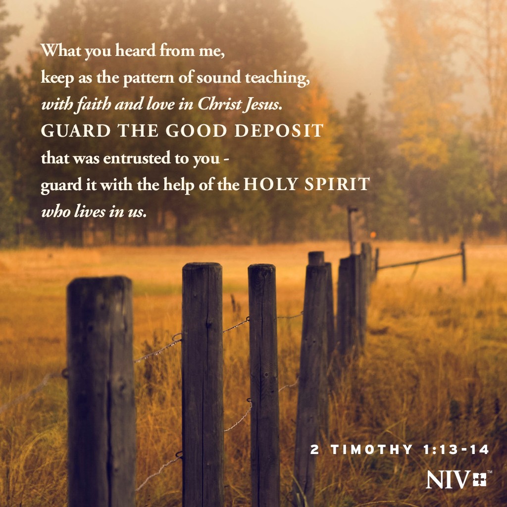 NIV Verse of the Day: 2 Timothy 1:13-14