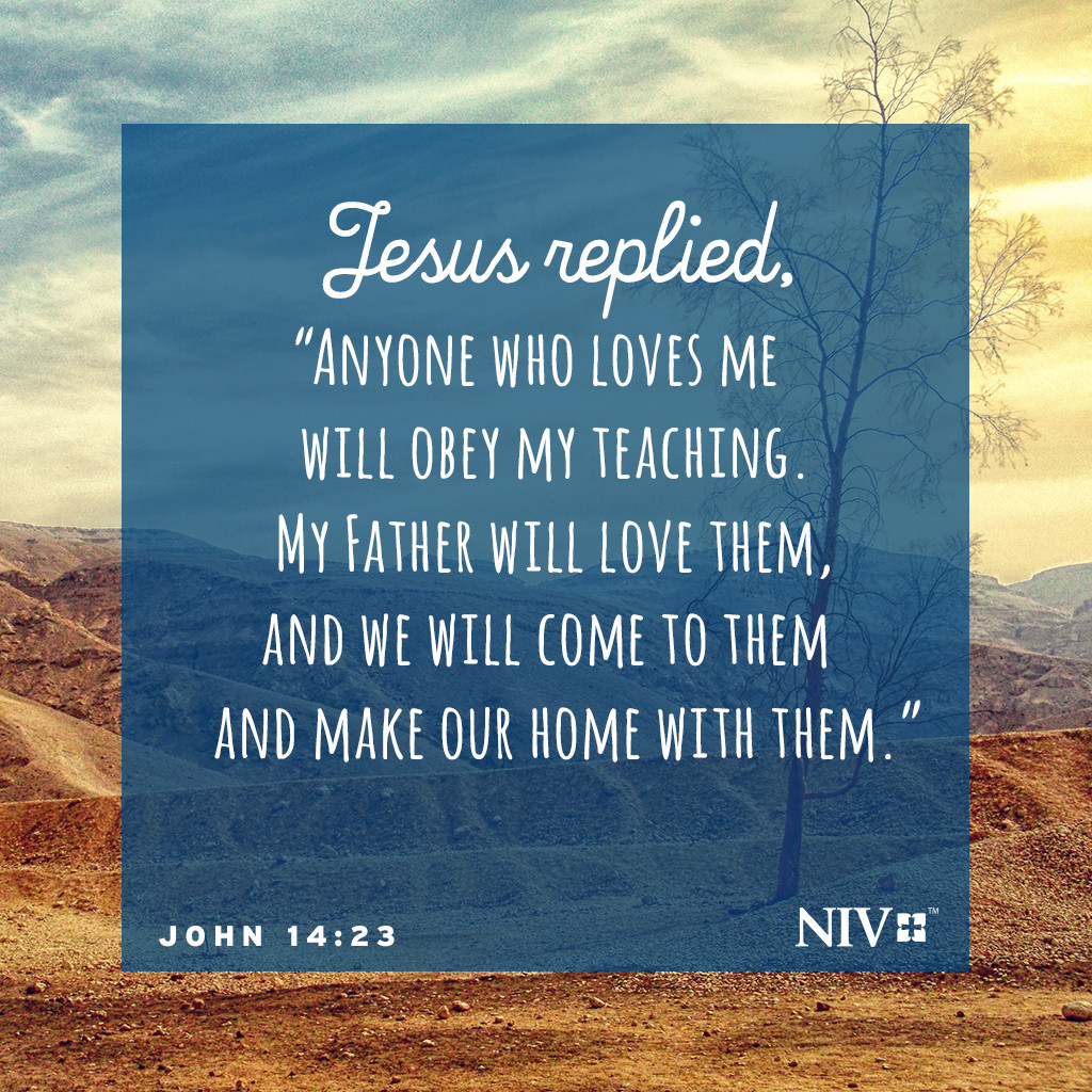 NIV Verse of the Day: John 14:23