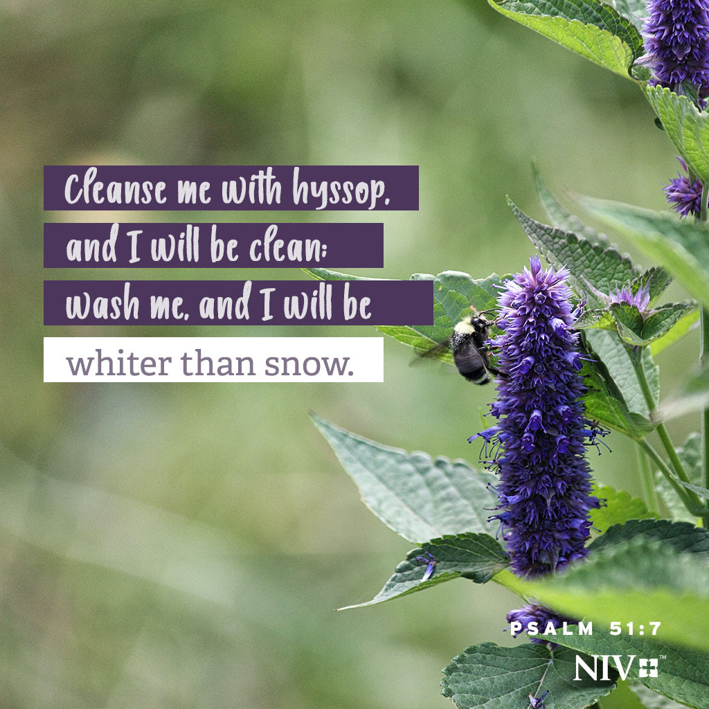 clean me with hyssop