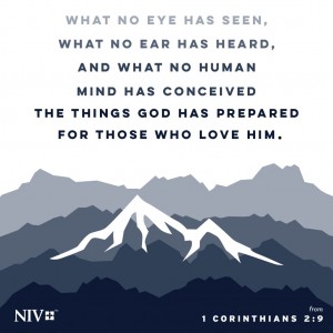 2 cor 2 9 niv