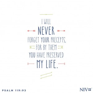 verse meaning psalm 119 93 Psalm NIV 119:93 Verse Day: of the