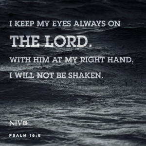 NIV Verse of the Day: Psalm 16:8