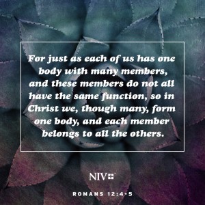niv romans verse scripture members body bible word harpercollinschristian votd email