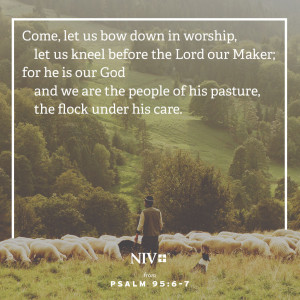 NIV Verse of the Day: Psalm 95:6-7