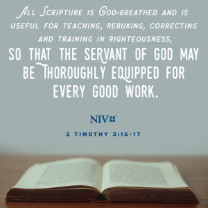 NIV Verse of the Day: 2 Timothy 3:16-17