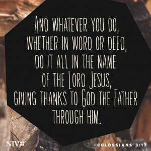 NIV Verse Of The Day: Colossians 3:17