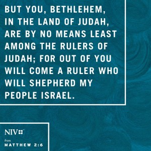 NIV Verse of the Day: Matthew 2:4-6