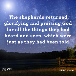 NIV Verse of the Day: Luke 2:16-20