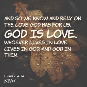 NIV Verse of the Day: 1 John 4:16