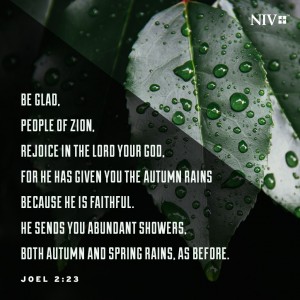 NIV Verse of the Day: Joel 2:23