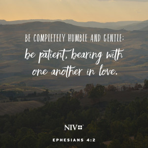 NIV Verse Of The Day: Ephesians 4:2