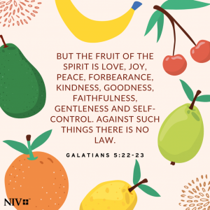 NIV Verse of the Day: Galatians 5:22-23