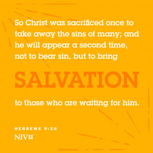 NIV Verse Of The Day: Hebrews 9:27-28