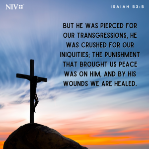NIV Verse of the Day: Isaiah 53:5-6