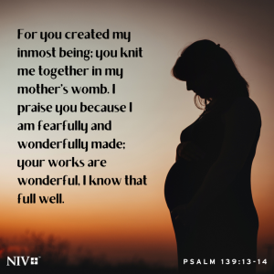 NIV Verse of the Day: Psalm 139:13-14