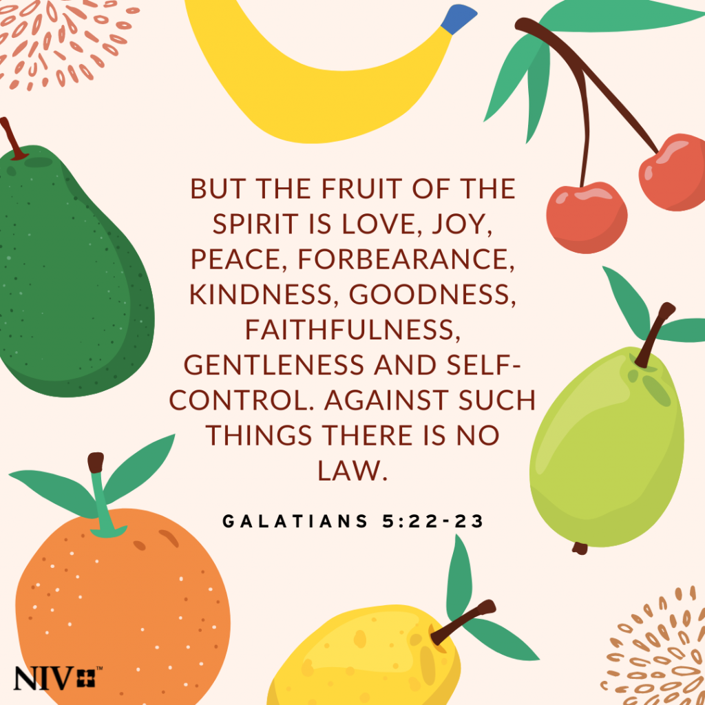 22 But the fruit of the Spirit is love, joy, peace, forbearance, kindness, goodness, faithfulness, 23 gentleness and self-control. Against such things there is no law. Galatians 5:22-23