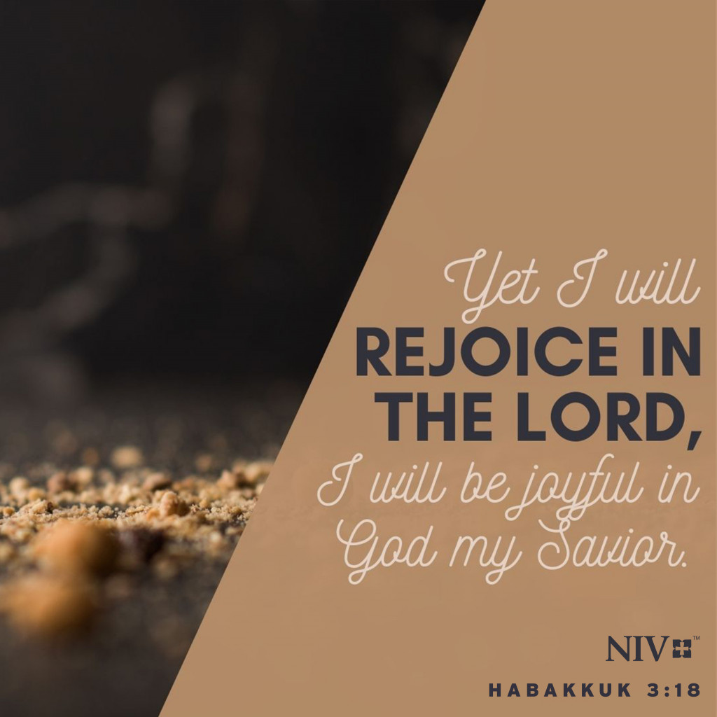 NIV Verse of the Day: Habakkuk 3:17-18