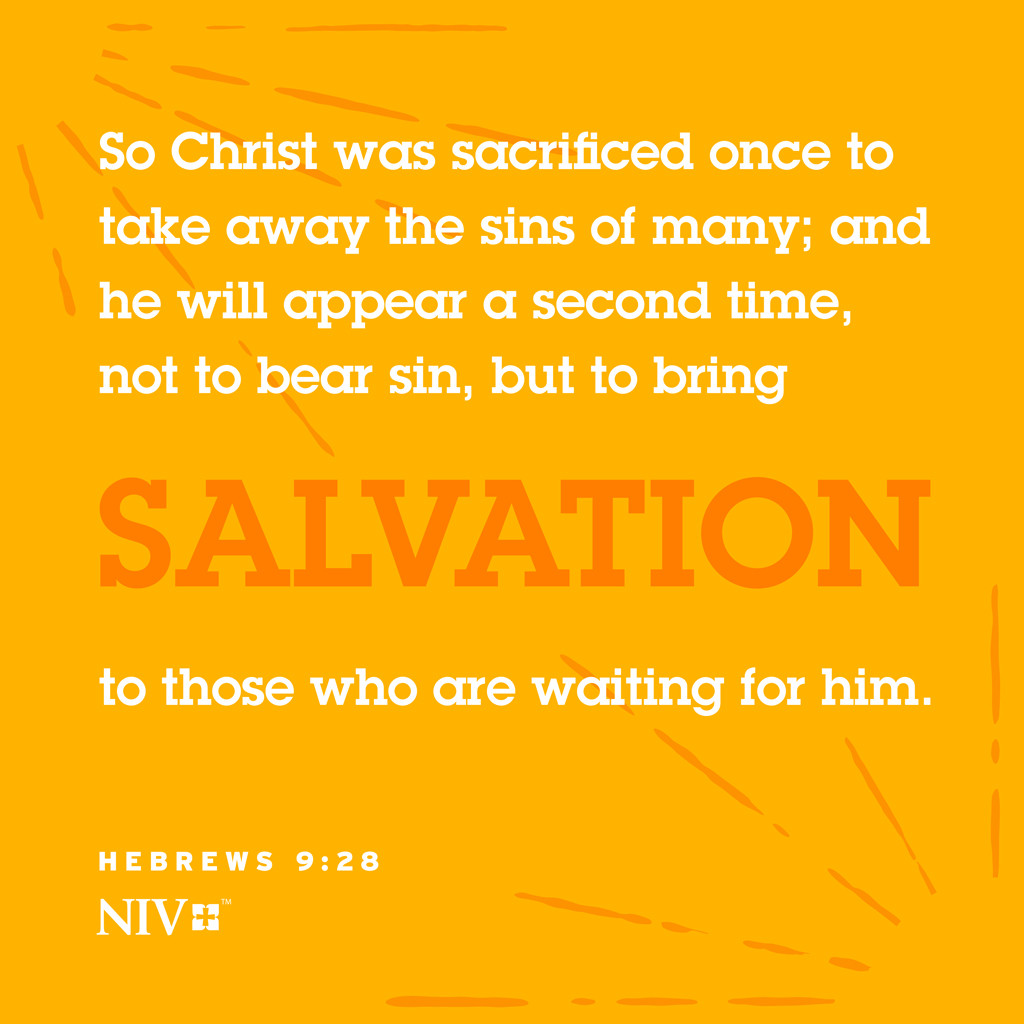 NIV Verse Of The Day: Hebrews 9:27-28