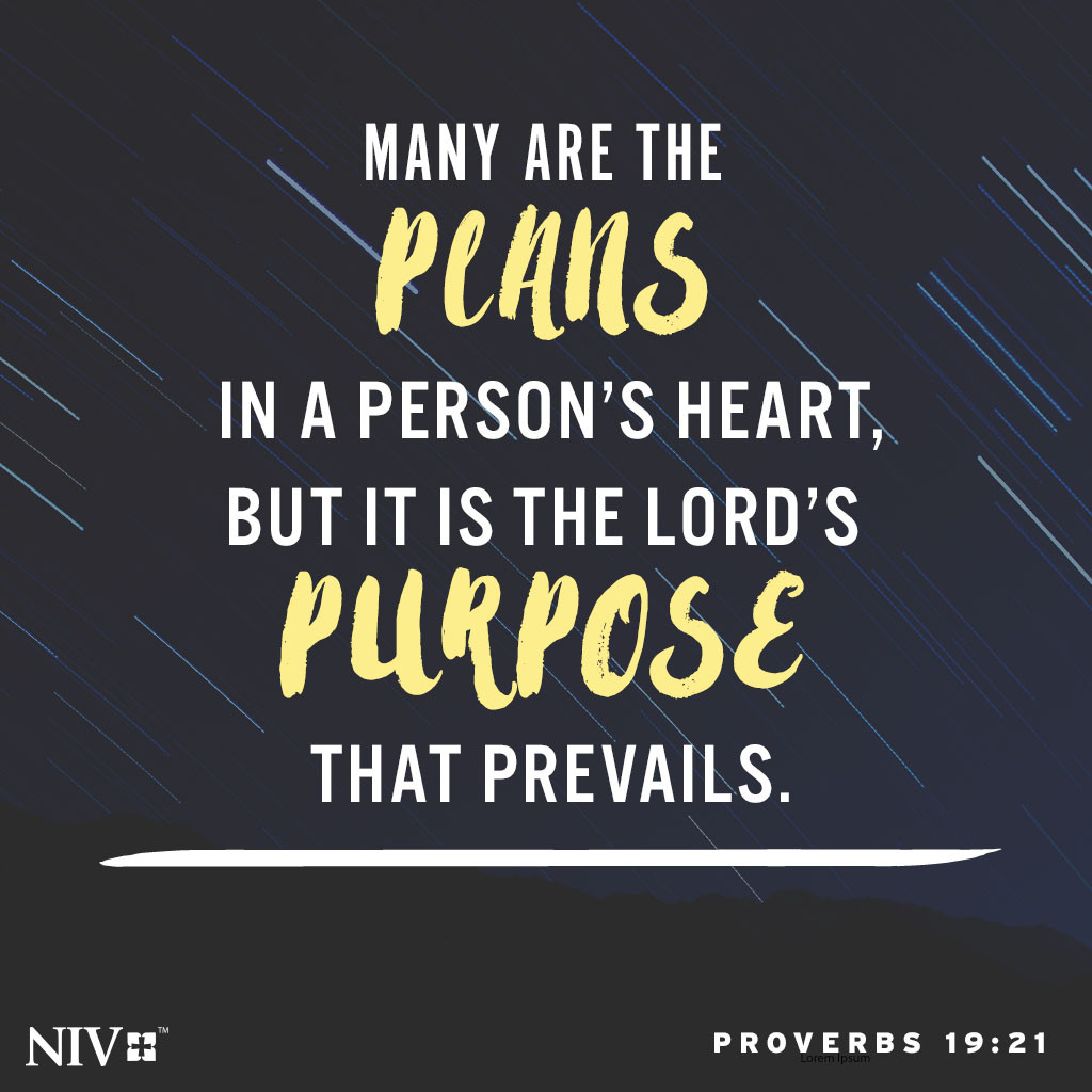 NIV Verse of the Day: Proverbs 19:21